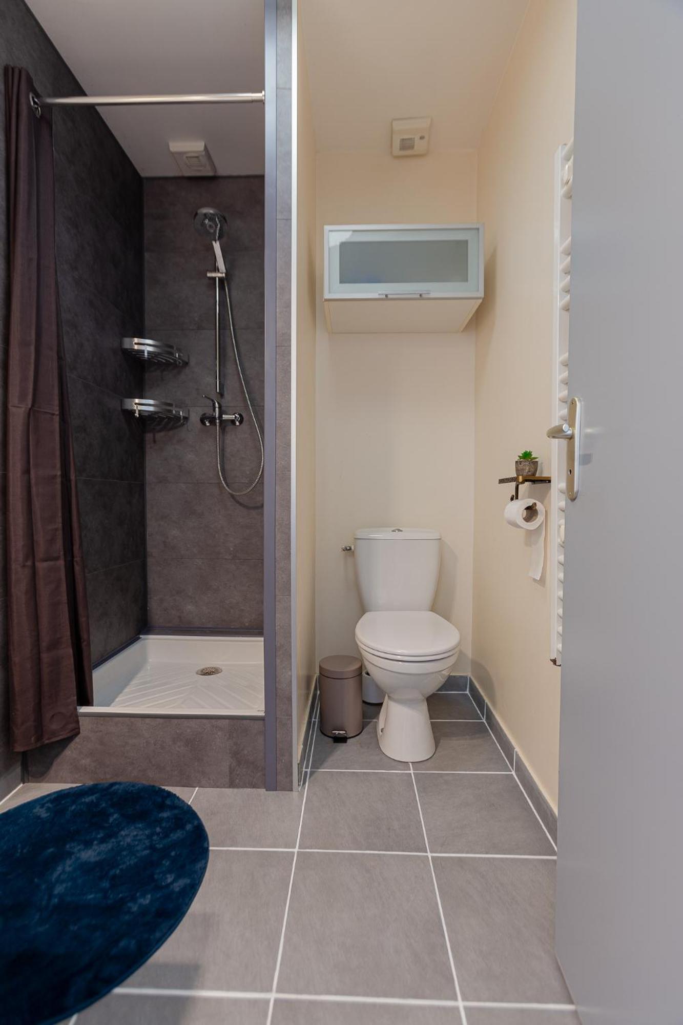 Duplex Lumineux 2 Centre Zone Pietonne Appartement